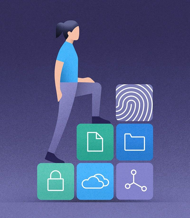 Plan de mise en œuvre ANS 2026